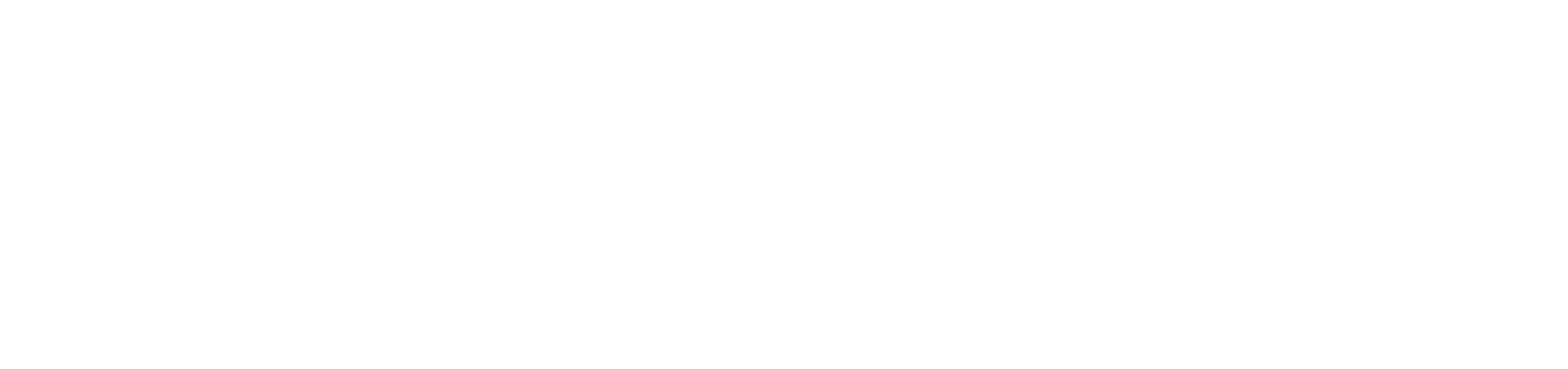 BEJUCAL LOGO White